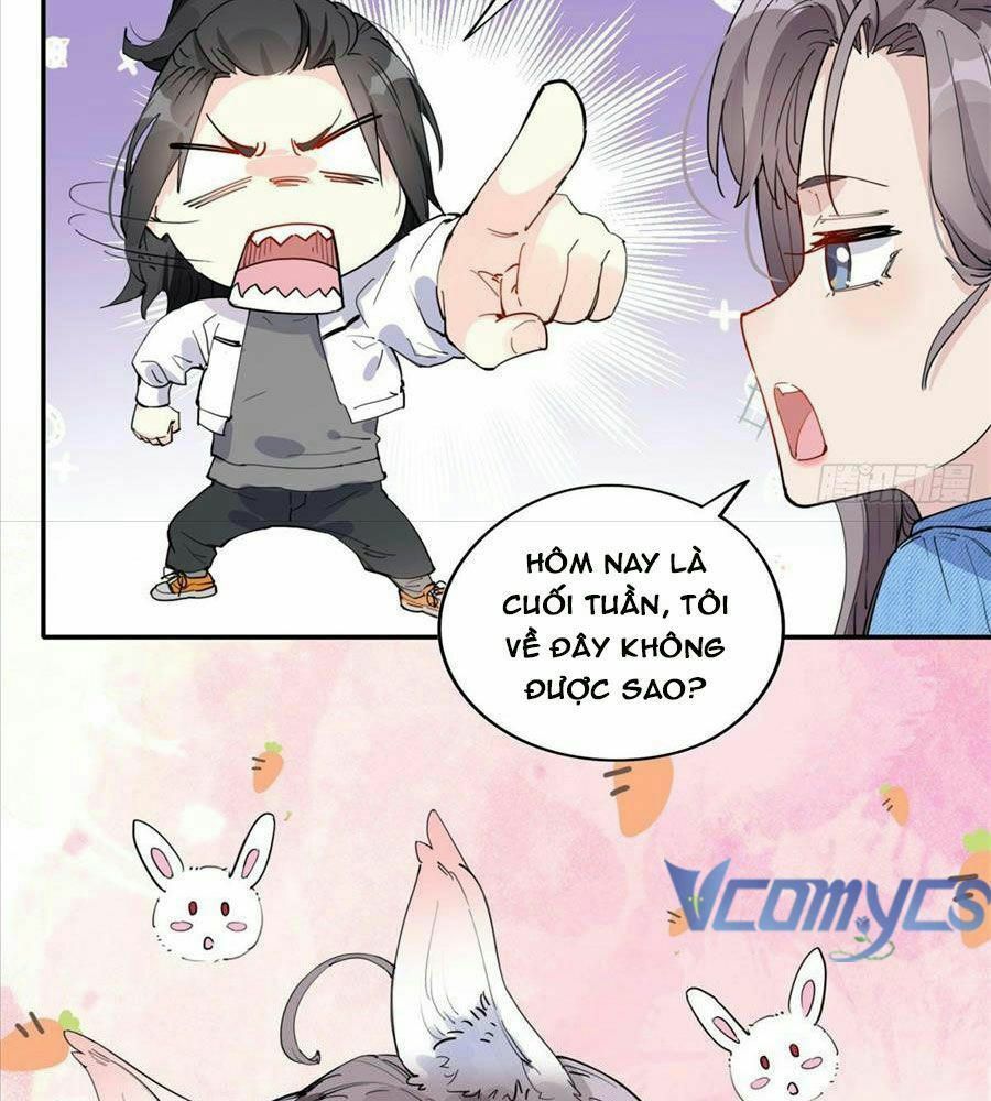 cố tổng, vợ của ngài quá mạnh rồi! Chapter 10 - Next Chapter 11