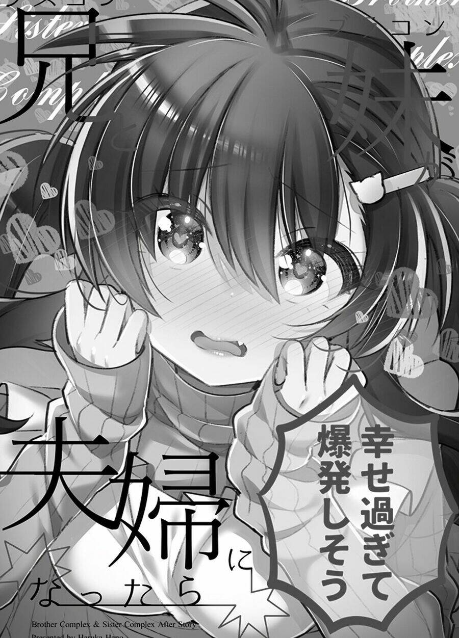 Siscon Ani To Brocon Imouto Ga Shoujiki Ni Nattara Chapter 49 - Trang 2